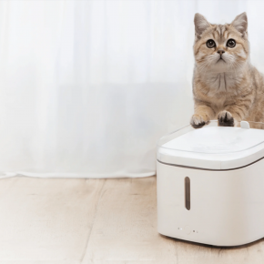 Xiaomi Smart Pet Fountain